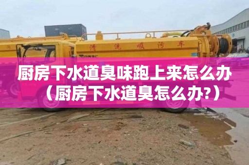 厨房下水道臭味跑上来怎么办（厨房下水道臭怎么办?）