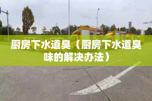 厨房下水道臭（厨房下水道臭味的解决办法）