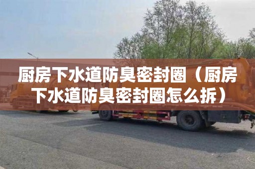 厨房下水道防臭密封圈（厨房下水道防臭密封圈怎么拆）