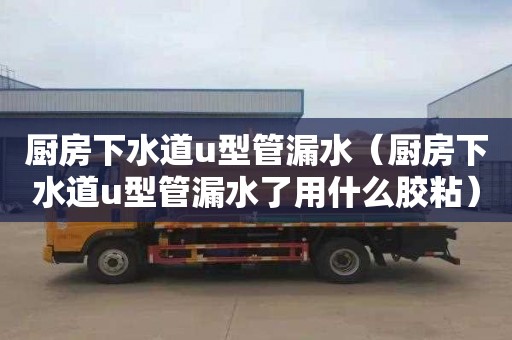厨房下水道u型管漏水（厨房下水道u型管漏水了用什么胶粘）