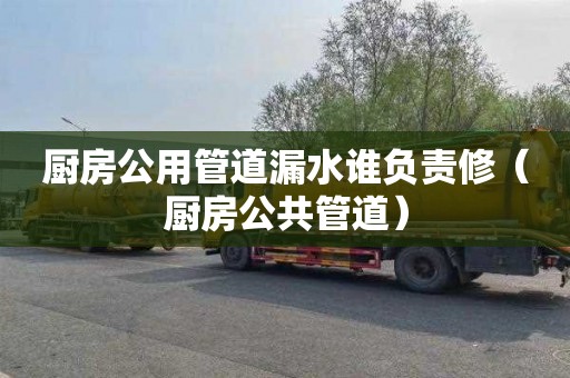 厨房公用管道漏水谁负责修（厨房公共管道）