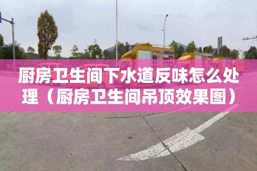 厨房卫生间下水道反味怎么处理（厨房卫生间吊顶效果图）