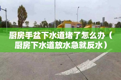 厨房手盆下水道堵了怎么办（厨房下水道放水急就反水）