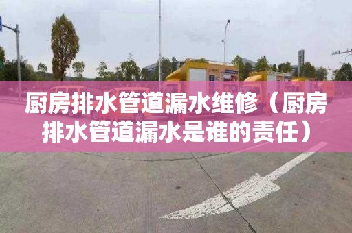 厨房排水管道漏水维修（厨房排水管道漏水是谁的责任）