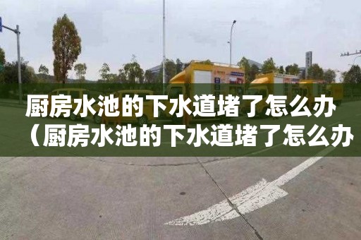 厨房水池的下水道堵了怎么办（厨房水池的下水道堵了怎么办有什么办法）