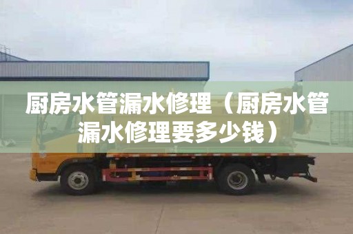 厨房水管漏水修理（厨房水管漏水修理要多少钱）