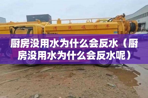 厨房没用水为什么会反水（厨房没用水为什么会反水呢）