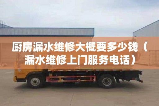 厨房漏水维修大概要多少钱（漏水维修上门服务电话）