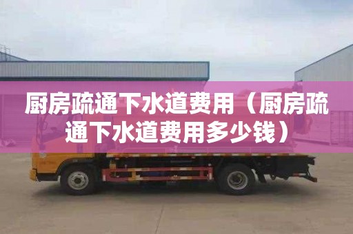 厨房疏通下水道费用（厨房疏通下水道费用多少钱）