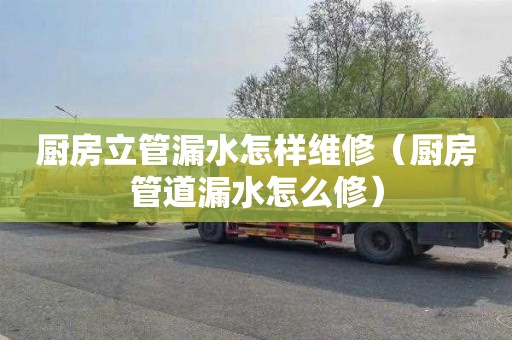 厨房立管漏水怎样维修（厨房管道漏水怎么修）