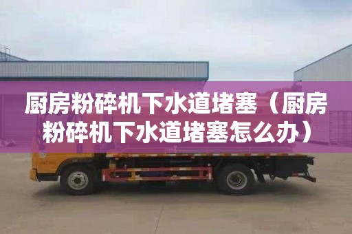 厨房粉碎机下水道堵塞（厨房粉碎机下水道堵塞怎么办）