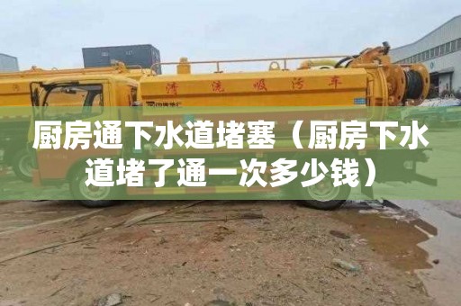 厨房通下水道堵塞（厨房下水道堵了通一次多少钱）