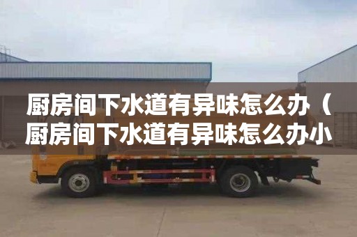 厨房间下水道有异味怎么办（厨房间下水道有异味怎么办小妙招）