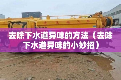去除下水道异味的方法（去除下水道异味的小妙招）