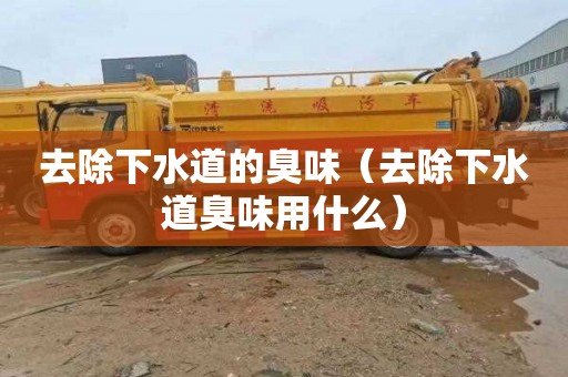 去除下水道的臭味（去除下水道臭味用什么）