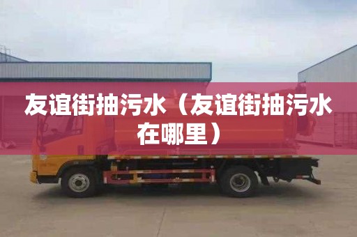 友谊街抽污水（友谊街抽污水在哪里）
