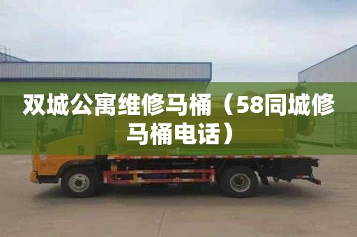 双城公寓维修马桶（58同城修马桶电话）