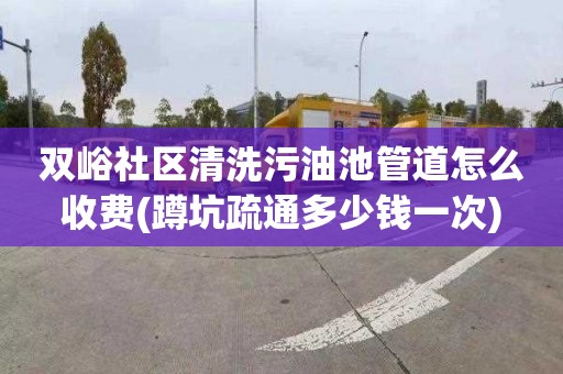 双峪社区清洗污油池管道怎么收费(蹲坑疏通多少钱一次)