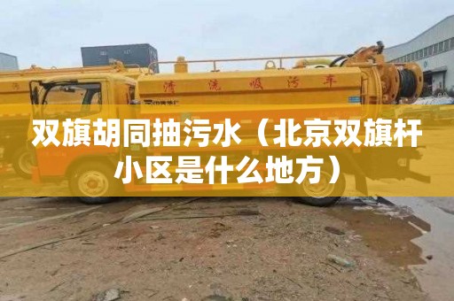 双旗胡同抽污水（北京双旗杆小区是什么地方）