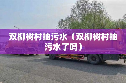 双柳树村抽污水（双柳树村抽污水了吗）