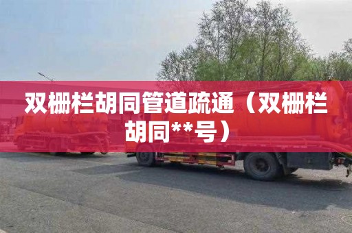 双栅栏胡同管道疏通（双栅栏胡同**号）
