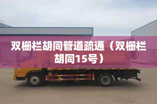 双栅栏胡同管道疏通（双栅栏胡同15号）