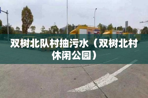 双树北队村抽污水（双树北村休闲公园）