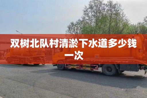 双树北队村清淤下水道多少钱一次