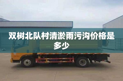 双树北队村清淤雨污沟价格是多少
