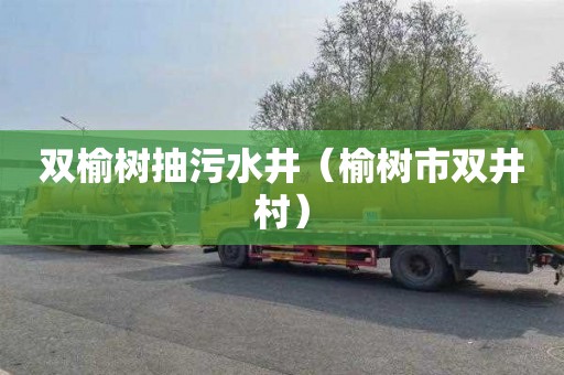 双榆树抽污水井（榆树市双井村）