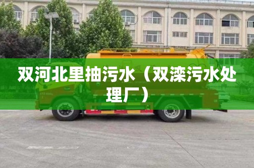 双河北里抽污水（双滦污水处理厂）