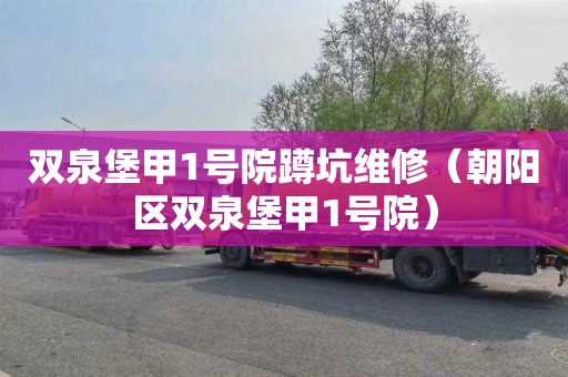 双泉堡甲1号院蹲坑维修（朝阳区双泉堡甲1号院）