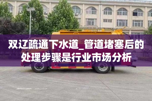 双辽疏通下水道_管道堵塞后的处理步骤是行业市场分析