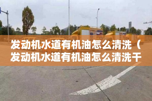 发动机水道有机油怎么清洗（发动机水道有机油怎么清洗干净）