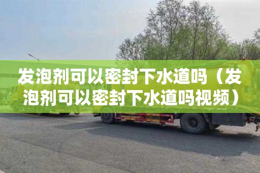 发泡剂可以密封下水道吗（发泡剂可以密封下水道吗视频）