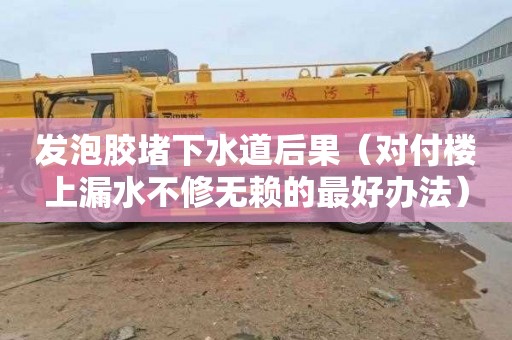 发泡胶堵下水道后果（对付楼上漏水不修无赖的最好办法）