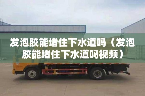 发泡胶能堵住下水道吗（发泡胶能堵住下水道吗视频）