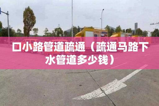 口小路管道疏通（疏通马路下水管道多少钱）