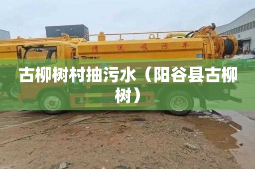 古柳树村抽污水（阳谷县古柳树）