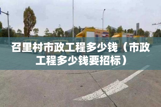 召里村市政工程多少钱（市政工程多少钱要招标）