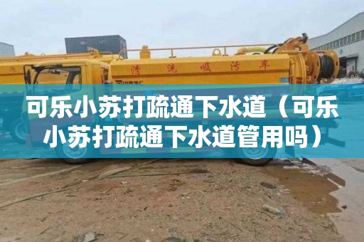 可乐小苏打疏通下水道（可乐小苏打疏通下水道管用吗）