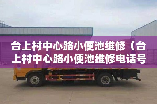 台上村中心路小便池维修（台上村中心路小便池维修电话号码）