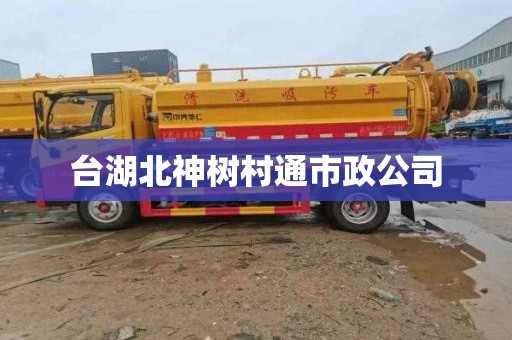台湖北神树村通市政公司