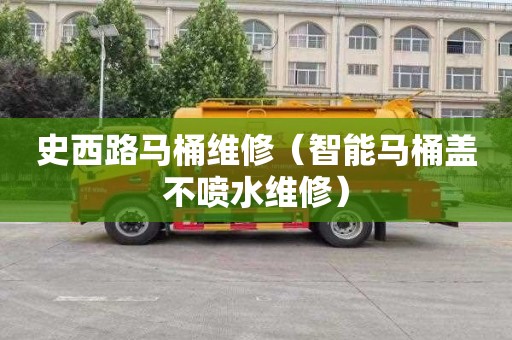 史西路马桶维修（智能马桶盖不喷水维修）