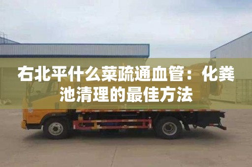 右北平什么菜疏通血管：化粪池清理的最佳方法