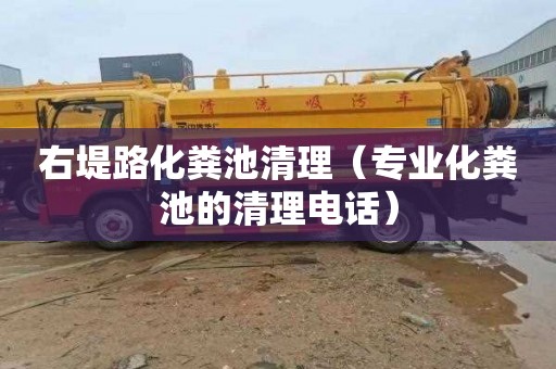 右堤路化粪池清理（专业化粪池的清理电话）