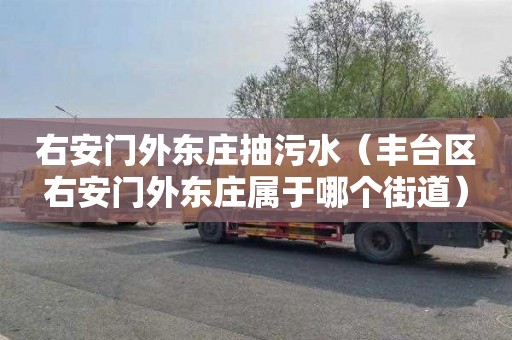 右安门外东庄抽污水（丰台区右安门外东庄属于哪个街道）