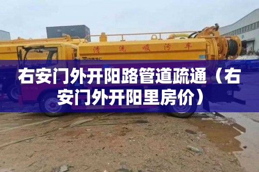 右安门外开阳路管道疏通（右安门外开阳里房价）