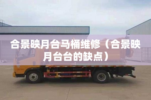 合景映月台马桶维修（合景映月台台的缺点）