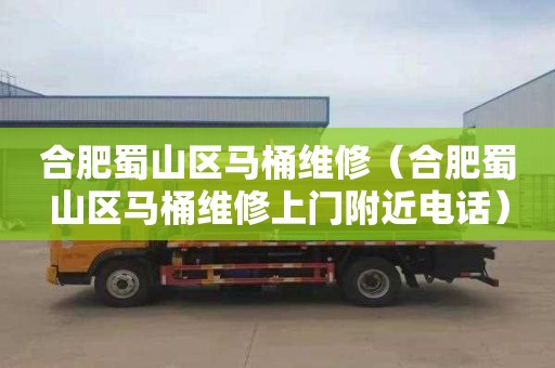 合肥蜀山区马桶维修（合肥蜀山区马桶维修上门附近电话）